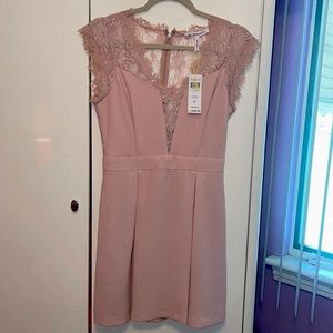 NWT BCBGeneration Rose Smoke Dress (Size:4)